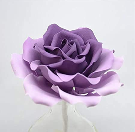 Luster Dust - Purple Purple (4g 1x Jar) | Edible Vegan Dust & Paint for Cake Decorating, Ice Cream