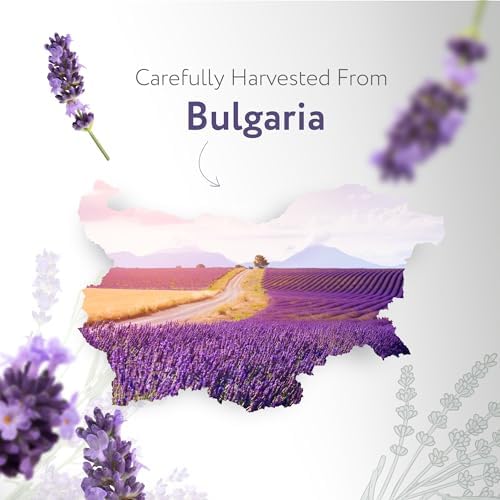 HBNO California Bottled Organic Lavender Essential Oil 1 fl oz (30ml) - USDA Certified Organic