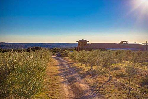 Texas Hill Country Olive Co Miller's Blend Extra Virgin Olive Oil - Cold Pressed EVOO Gourmet Olive