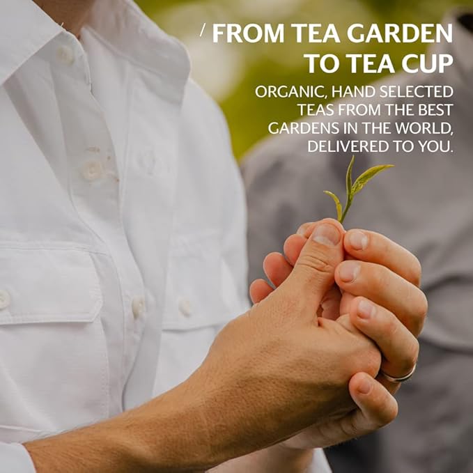 Grace Farms Organic JASMINE Green Tea (100 Enveloped Pyramid Sachets w/String & Tag) | Fragrant and
