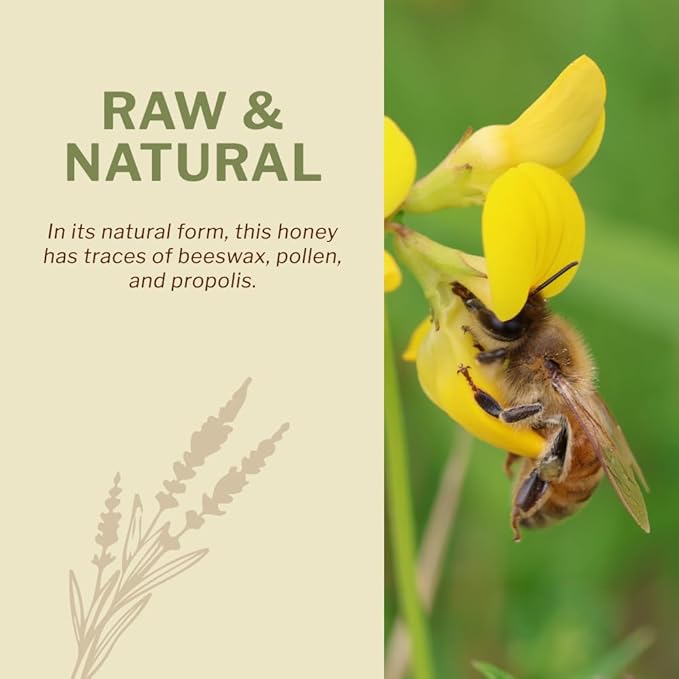 Oneroot 100% Canadian Flower Honey - Honey Wildflower Unfiltered, Unheated & Creamed, Nutrient Rich