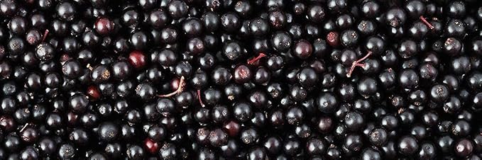 Biotta Organic Elderberry Juice - Naturally Sweetened Fruit Juice For Optimal Immune Support