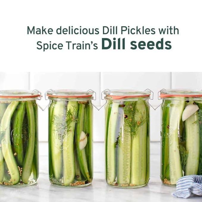 HANDPICK Dill Seeds (397g/14oz) Non GMO, Gluten Free, 100% Raw, Sourced from India, For Cooking