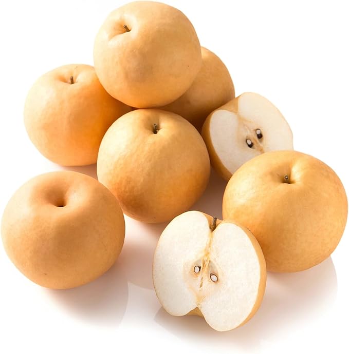 EVERYDAZE BT21 Essential C?셲 Konjac Jelly | Korean Pear | Vegan Collagen Peptides and Vitamin C |