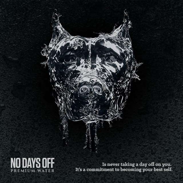 NO DAYS OFF Premium Water+ | Limited FREEDOM Edition (16oz Sparkling (Pack of 12))