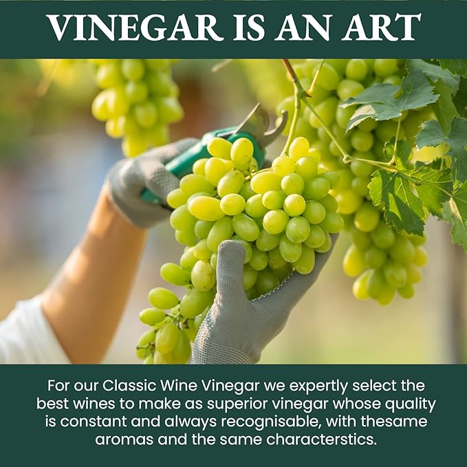 1787 PONTI Organic 100% Italian Red Wine Vinegar - Balanced Acidity and Harmonious Bouquets
