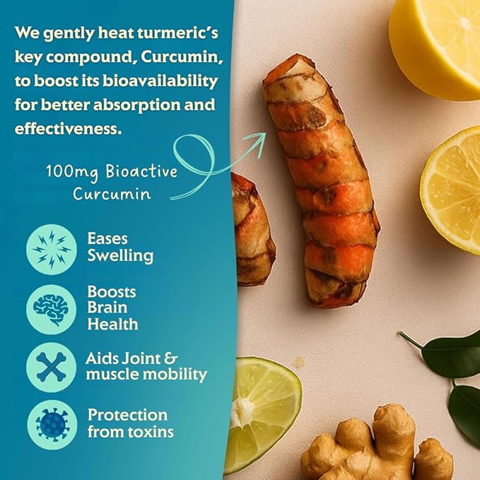 Golden Tiger Turmeric Sparkling Lemonade, Pineapple 12-Pack ??Curcumin & Ginger for Inflammation