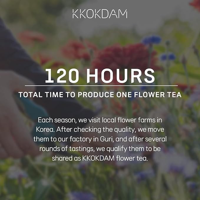 KKOKDAM Kombucha Tea - Lemon & Chrysanthemum Korean Tea - Kombucha Drinks Probiotic Support, Low