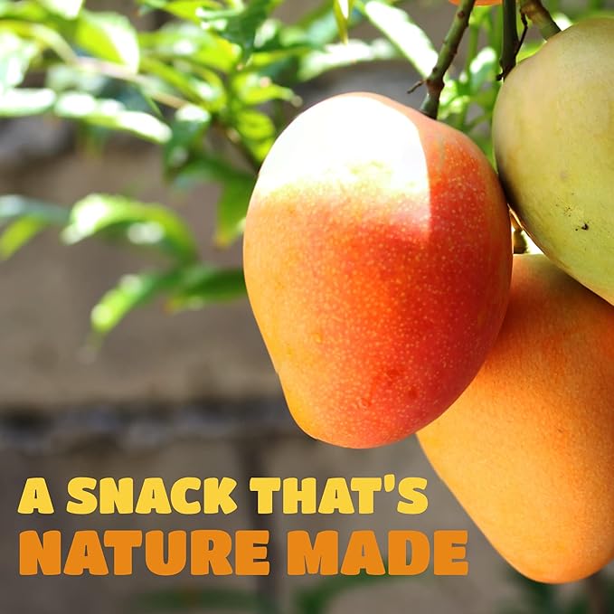 Dried Mango Slices - Delicious Texture Soft & Juicy Low Sugar Added Dried Mango - Naturally Ripened