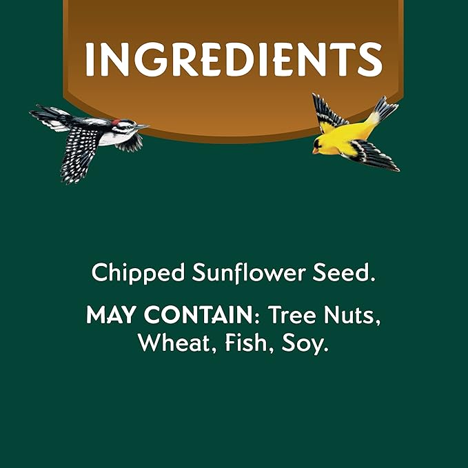 Morning Song Sunflower Hearts & Chips Wild Bird Food, No Mess Sunflower Seeds for Birds, 5.5-Pound