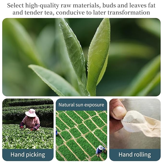 XIXICHA Shou Mei White Tea Pearls Tea Aged White Tea Dragon Pearls Tea Shoumei Tea Fuding White Tea
