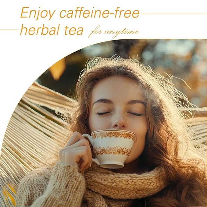 WT WEETEE Orange Spice Herbal Tea Bags, 2.5g x 50 Counts, Sweet Spices Tea Includes Cinnamon