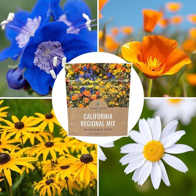 California Wildflower Mixture - Bulk 1 Ounce Packet - Over 7,000 Native Seeds - Open Pollinated and
