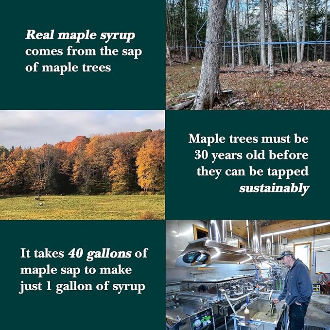 Vermont Maple Syrup - 64 oz Grade A, Golden Delicate Organic Maple Syrup - 100% Pure and Authentic