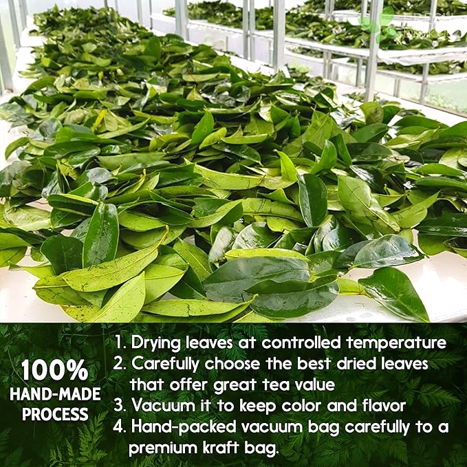 FreshDrinkUS, 240+ Premium Soursop Graviola Dried Leaves Tea, 230-250 Whole Soursop Leaves