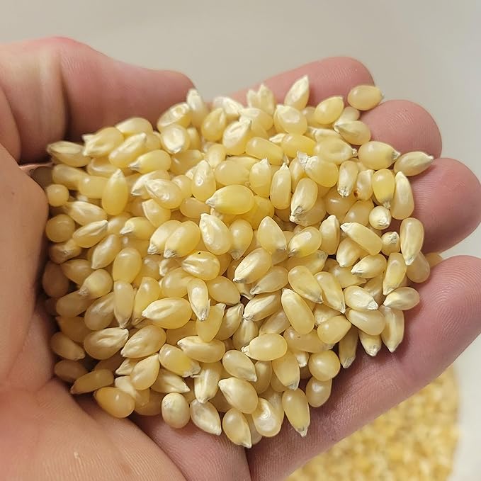 Princeton Popcorn White Butterfly Hulless Popcorn Kernels - Easy-Eating, Small Tender Popping Corn