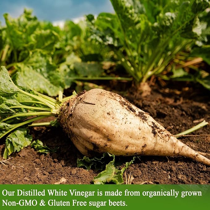 De La Rosa Organic Distilled White Vinegar, Raw & Unfiltered, Kosher for Passover, Vegan & Gluten