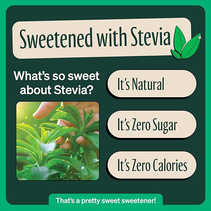 Zevia Zero Sugar Tea, Black Tea with Peach, 12 oz Cans (12-Pack) – Naturally Sweetened, Zero