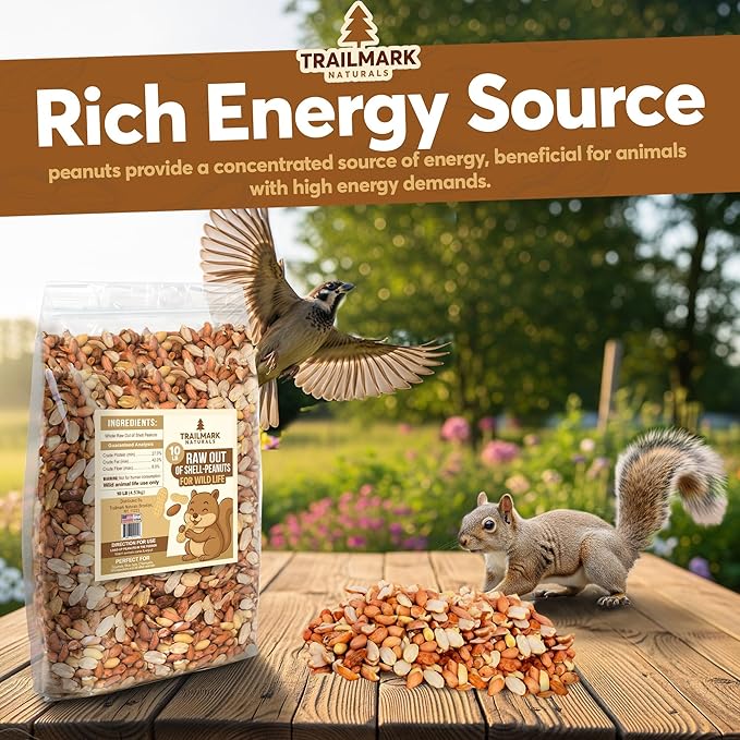 5 LB - Raw Shelled Peanuts For Squirrels, Out of Shell Peanuts For Birds and Wildlife- Squirrel