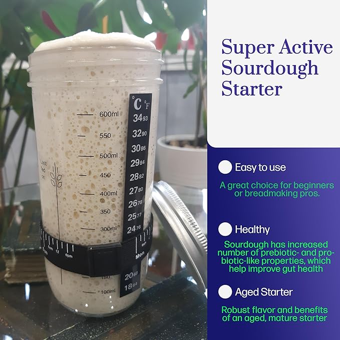 Mature Sourdough Starter Culture ??100+ Years Old Dehydrated Sourdough Starter Kit for Delicious