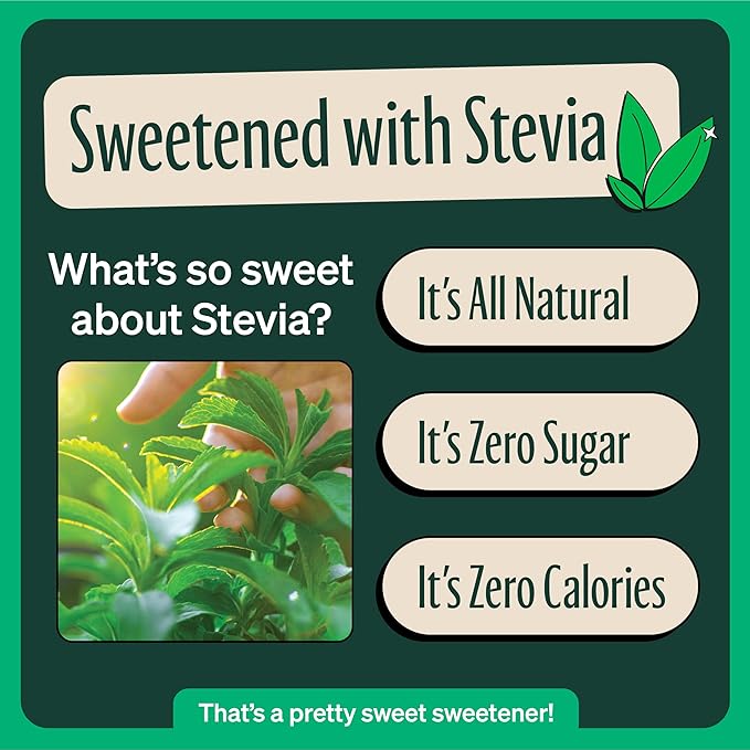 Zevia Zero Sugar Tea, Black Tea with Raspberry, 12 oz Cans (12-Pack) – Naturally Sweetened, Zero