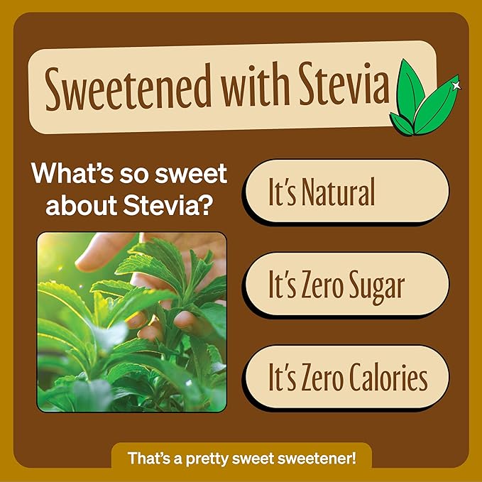 Zevia Zero Sugar Soda, Creamy Root Beer, 12 oz Cans (8-Pack) ??Naturally Sweetened, Non-GMO Project