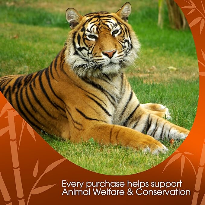 Tiger Spice Chai Tea Latte Mix, 14 Oz, Black Tea, Organic Spices, Dairy Free, Serve Hot or Cold