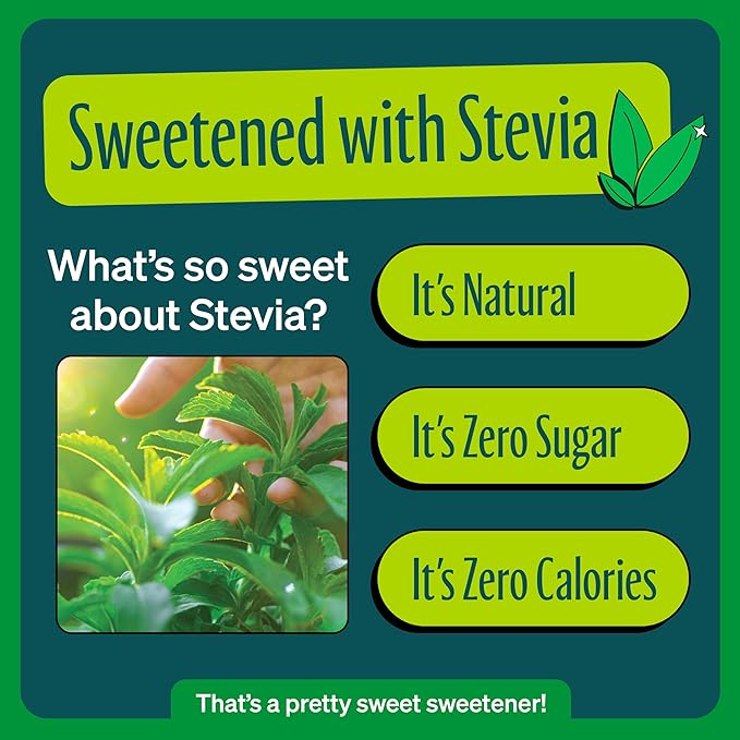 Zevia Zero Sugar Soda, Ginger Ale, 12 oz Cans (8-Pack) ??Naturally Sweetened, Non-GMO Project