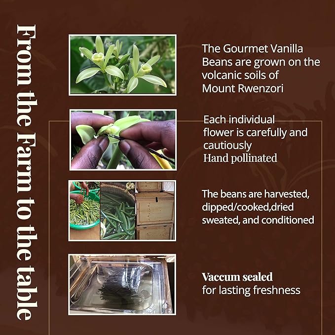 1 LB Bulk Vanilla Beans Grade A + | Vanilla Bean Pods For Making Vanilla Extract | Non-GMO |