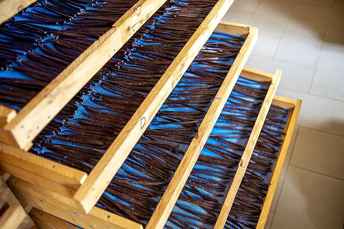 50 Grade A Vanilla Beans - Gourmet Vanilla Beans in a Resealable Pouch
