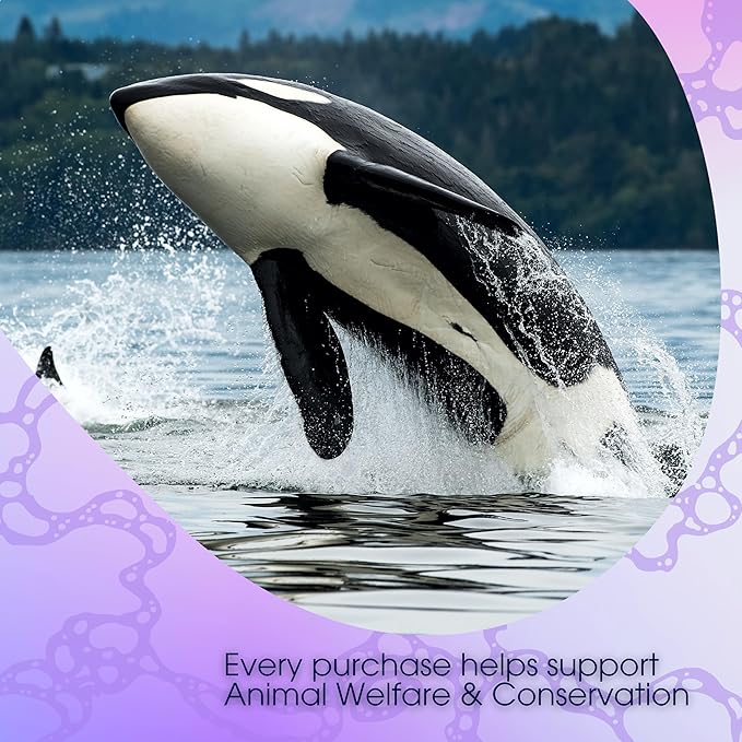 Orca Spice Reduced Calorie Chai Tea Latte Mix, 11.9 Oz, Black Tea, Organic Spices, Sugar Free