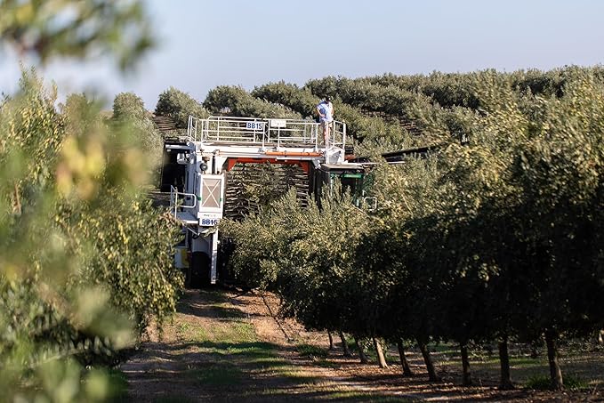 Cobram Estate California Select Extra Virgin Olive Oil, First Cold Pressed, Non-GMO, Keto Friendly