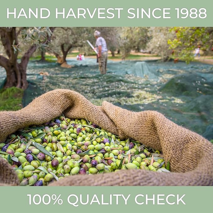 N°1 Drinking Extra Virgin Olive Oil - Italian Olive Oil from Italy 2025 Gold Awards Winner - 514