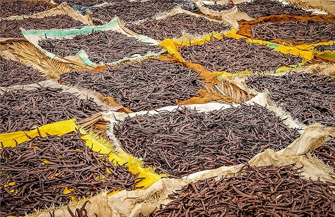 1 LB Vanilla Beans - Whole Extract Grade B Pods for Baking, Homemade Extract, Brewing, Coffee
