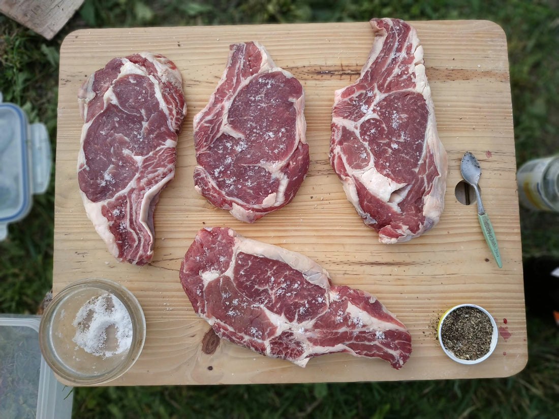 Seasoning Guide for Beginners