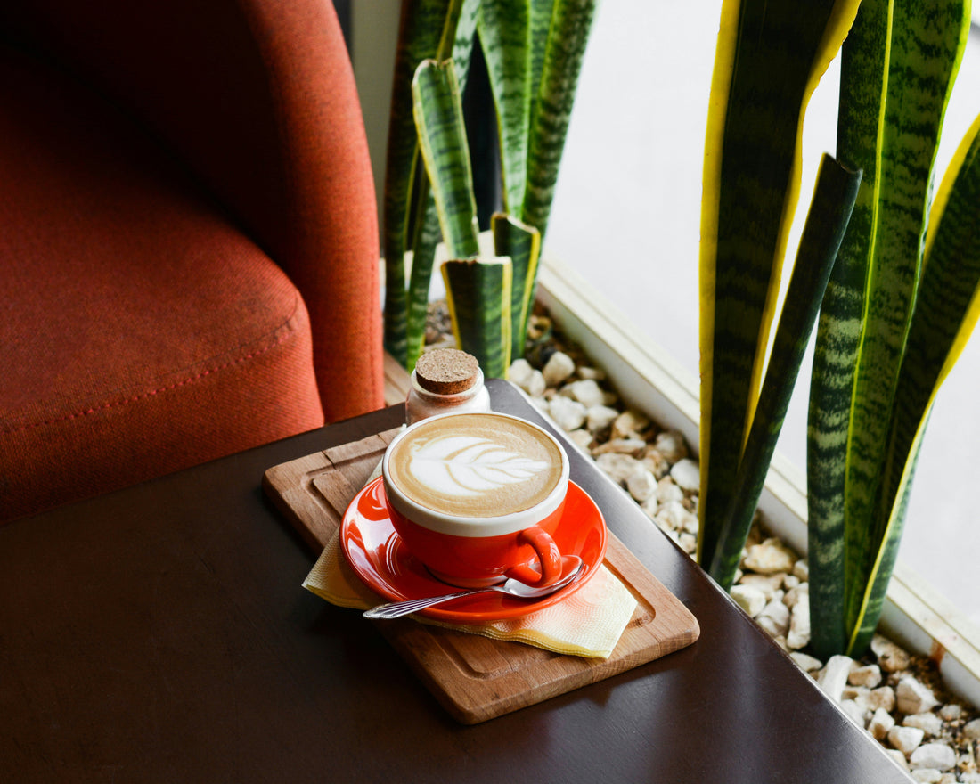 Why Home Café Moments Matter More Than Café Visits
