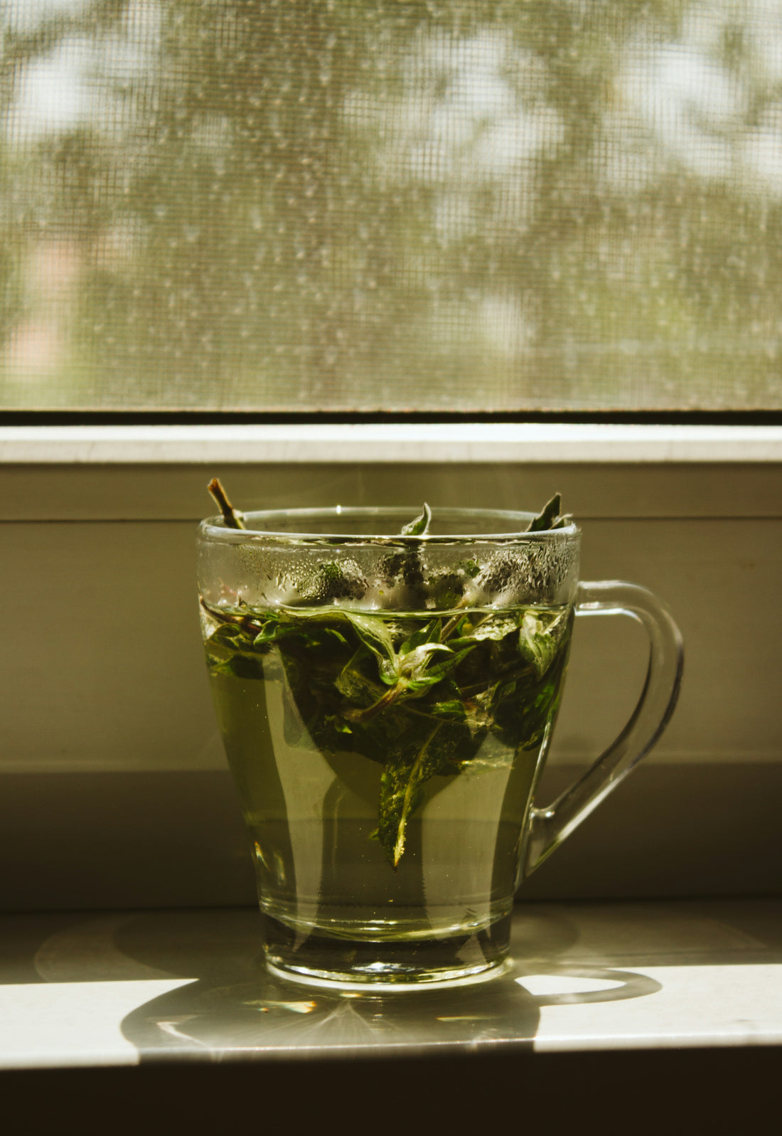 Peppermint Tea After Dinner: Habit or Hype?
