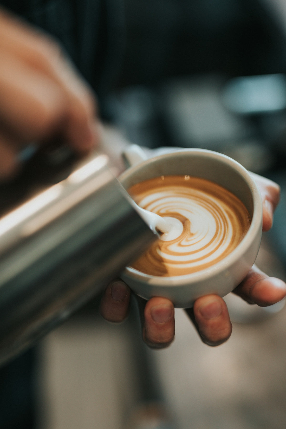 Coffee Creamer Showdown: Dairy, Oat, and Powdered Options