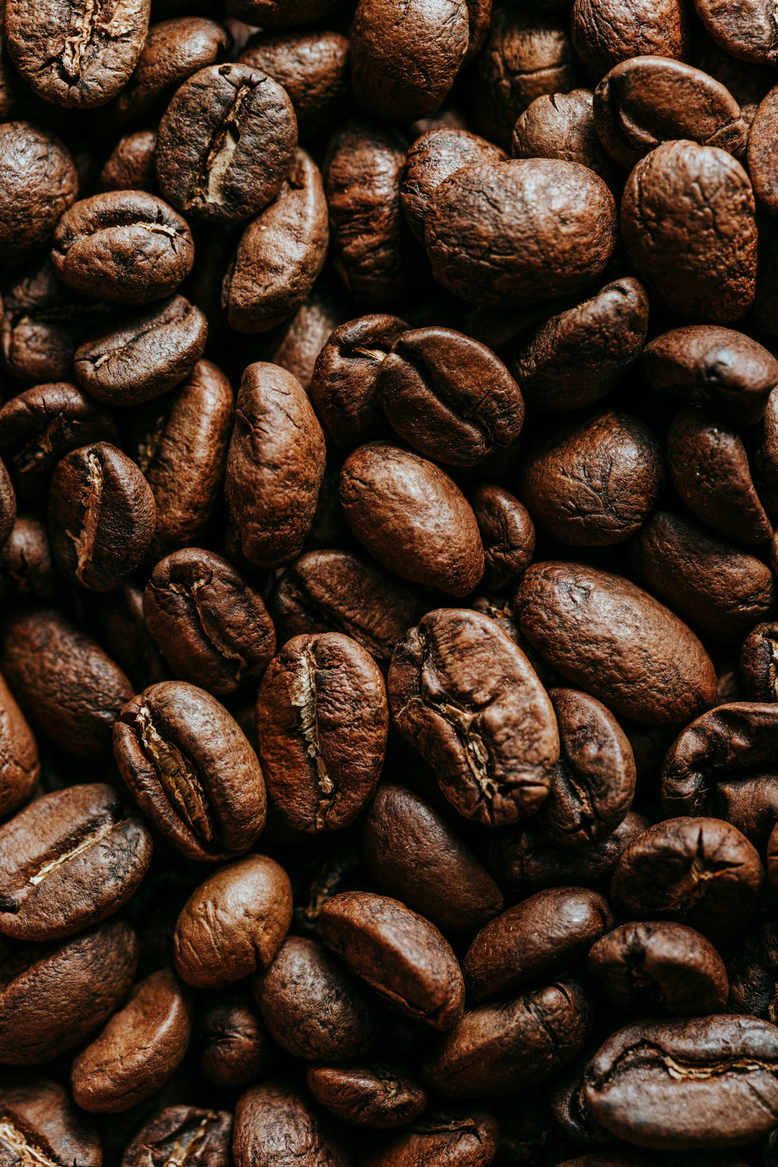 Close-up of a coffee bag being opened with beans visible, roast date area caught in warm natural light on a rustic kitchen counter.