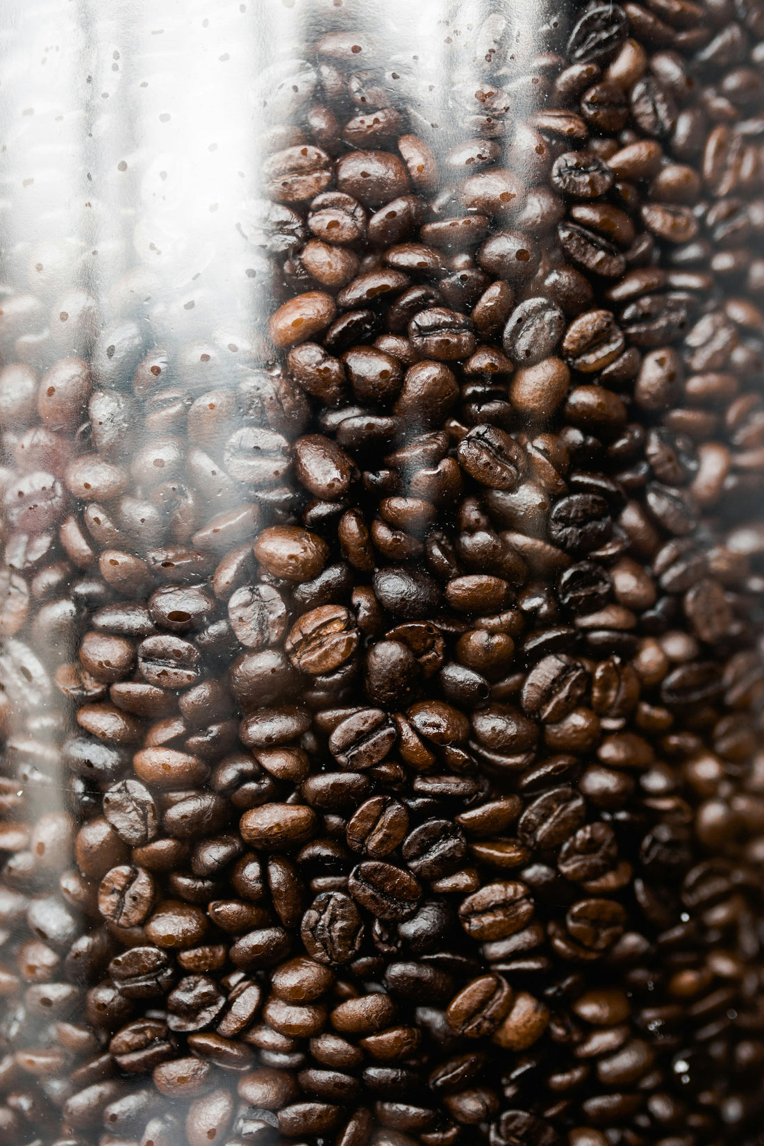 Coffee Pods vs Whole Bean: Which Morning Fits You?