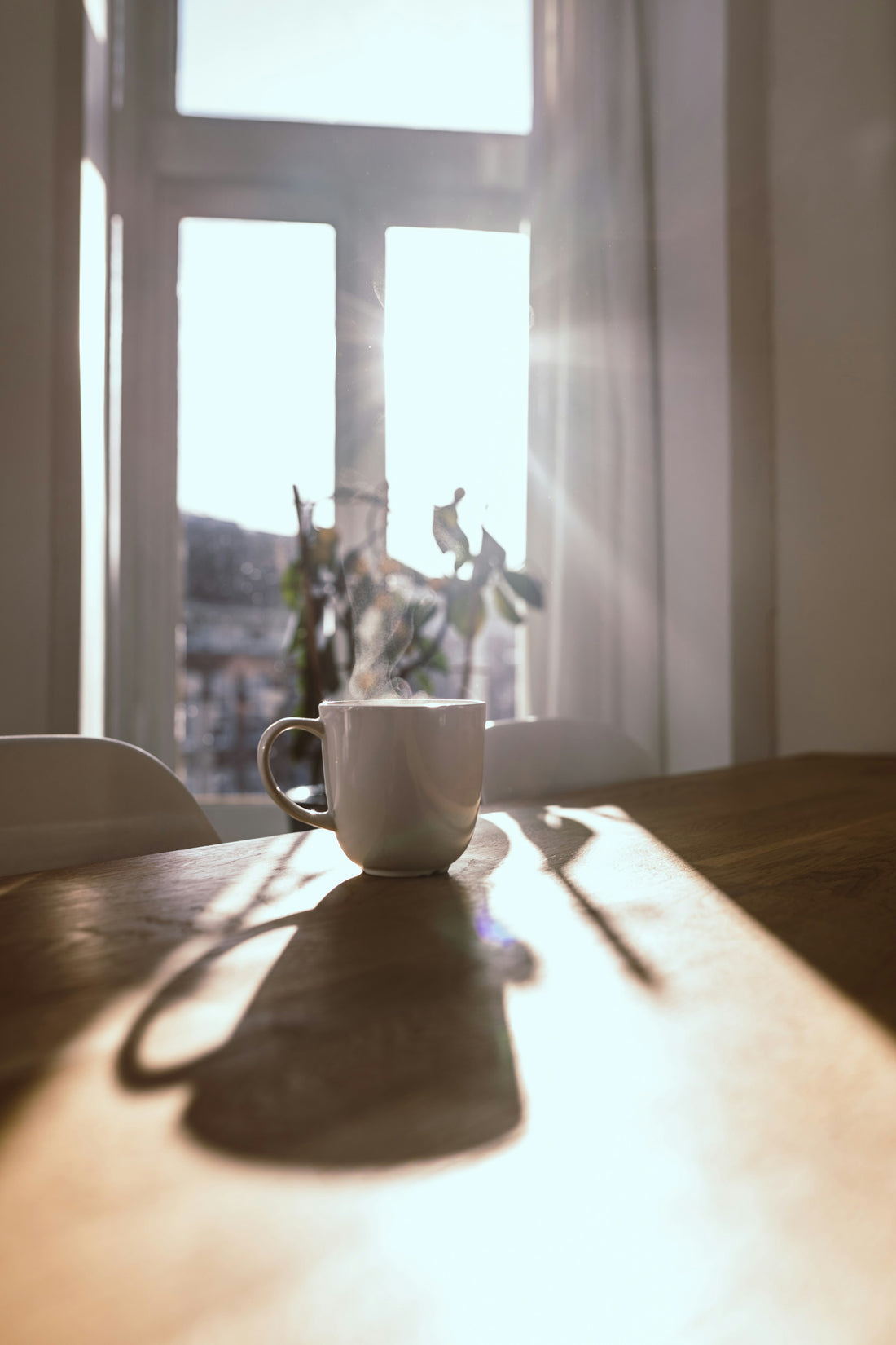 Coffee for Daylight Saving Time: Ease Into the Clock Change