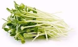 Nature Jims Sprouts Sunflower Seed - Certified Organic Black Oil Sunflower Sprouts for Soups - Raw