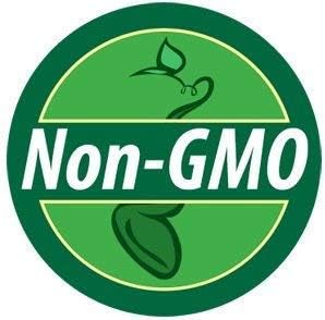 Non GMO Bulk Mammoth Grey Stripe Sunflower Seeds- Helianthus annuus (50 Lbs)