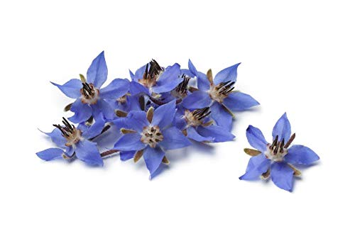 US Organic Borage seed Oil (18% GLA), USDA Certified Organic, 100% Pure & Natural, Cold Pressed