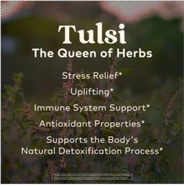 ORGANIC INDIA Tulsi Sleep Herbal Tea - Holy Basil, Ashwagandha, Chamomile, Night Time Tea for
