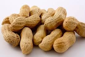 Gurley's Premium Peanuts In-Shell, Fire Roasted & Salted In Shell Peanut, Bulk Party Pack, 10 lb