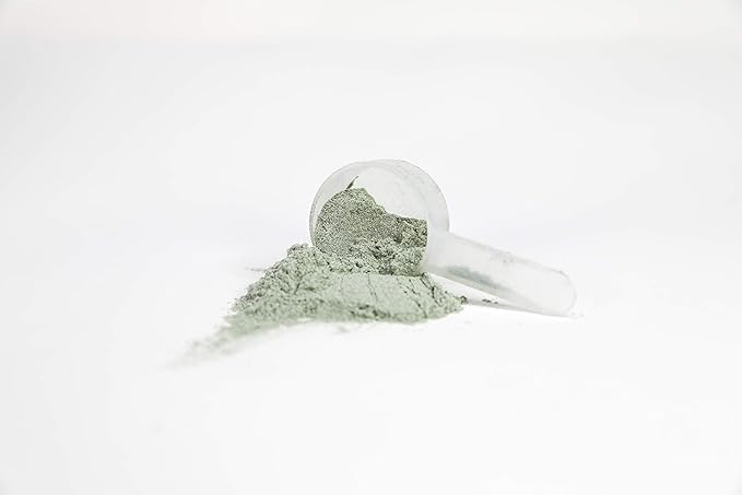 PURE Greens Superfood Raw Organic Drink Mix, Mango Flavor, Spirulina, Chlorella, 30 Servings, 8.9g