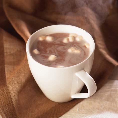 Nutmeg State Nutrition HealthyWise - High Protein Hot Cocoa - Instant Low Carb, Low Calorie Hot