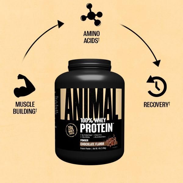 Animal 100% Whey Protein Powder ??Whey Blend for Pre Workout or Post Workout, Recovery, or an