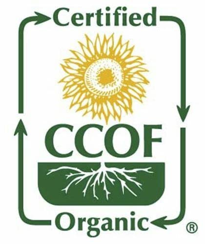 McCabe Organic Roasted Black Sesame, 8oz (3 Packs), USDA Organic Certified, CCOF Certified Organic